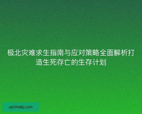 极北灾难求生指南与应对策略全面解析打造生死存亡的生存计划